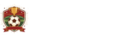 蜘蛛直播